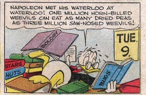 Vis orginal bildestørrelse